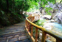 山上木棧道