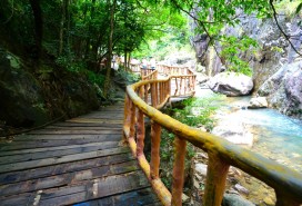 山上木棧道