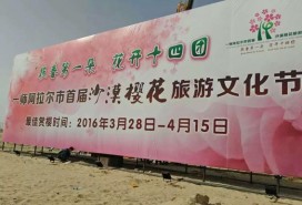 阿拉爾十四團(tuán)雙面高立柱6*18米兩個(gè)7天施工現(xiàn)場(chǎng)