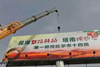 阿拉爾高立柱