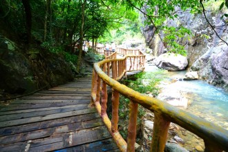 山上木棧道